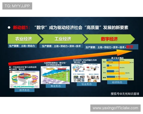 亚星网络平台未来发展规划,持续创新推动行业数字化转型